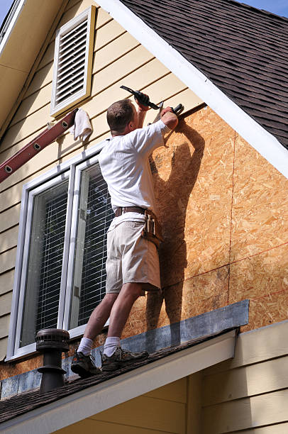 Best Stucco Siding  in Rockwood, MI